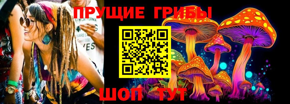 Галлюциногенные грибы Psilocybe Камень-на-Оби