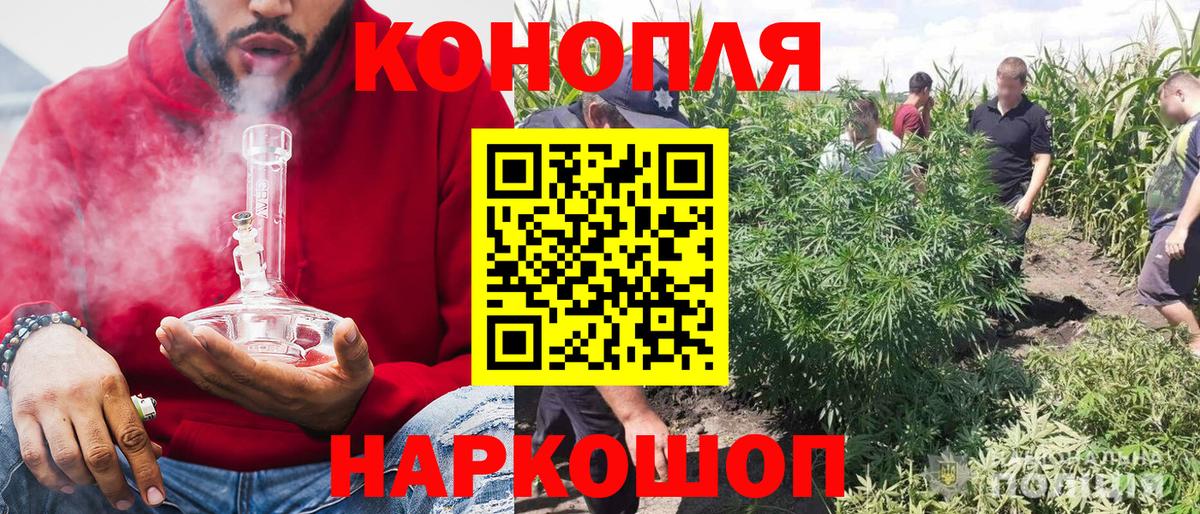 Бошки Шишки марихуана Камень-на-Оби